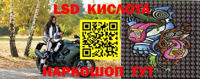 наркотики Кингисепп